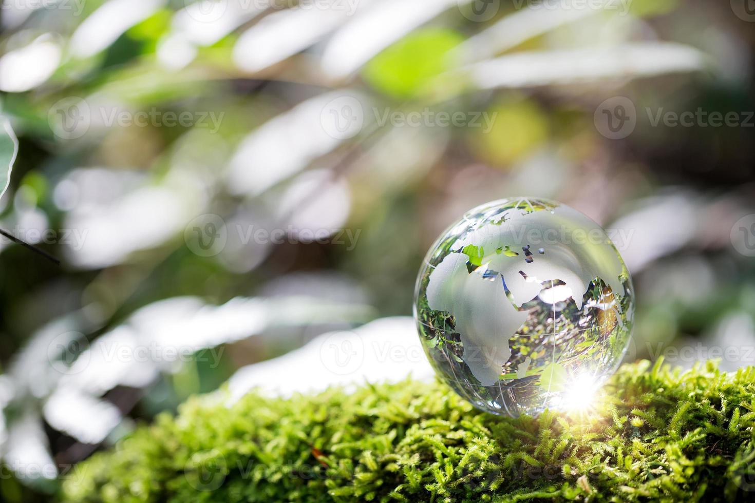 Globe planet glass In green forest with bokeh nature lights. world environment day. concept for environment conservation, protect ecology earth and environmental eco-friendly life with copy space photo