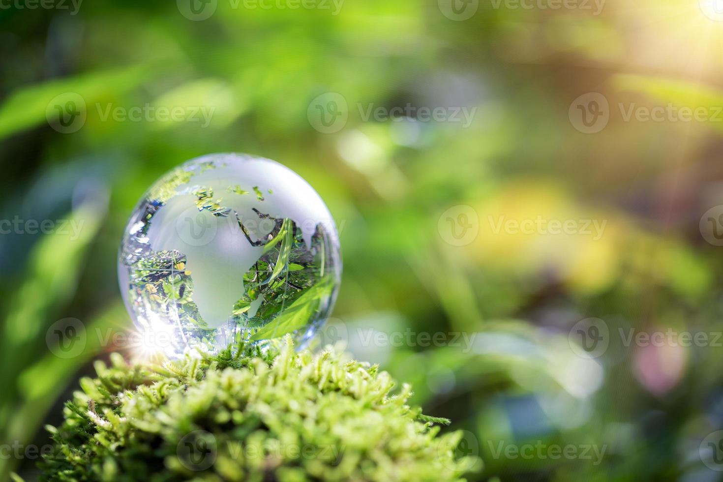 Globe planet glass In green forest with bokeh nature lights. world environment day. concept for environment conservation, protect ecology earth and environmental eco-friendly life with copy space photo