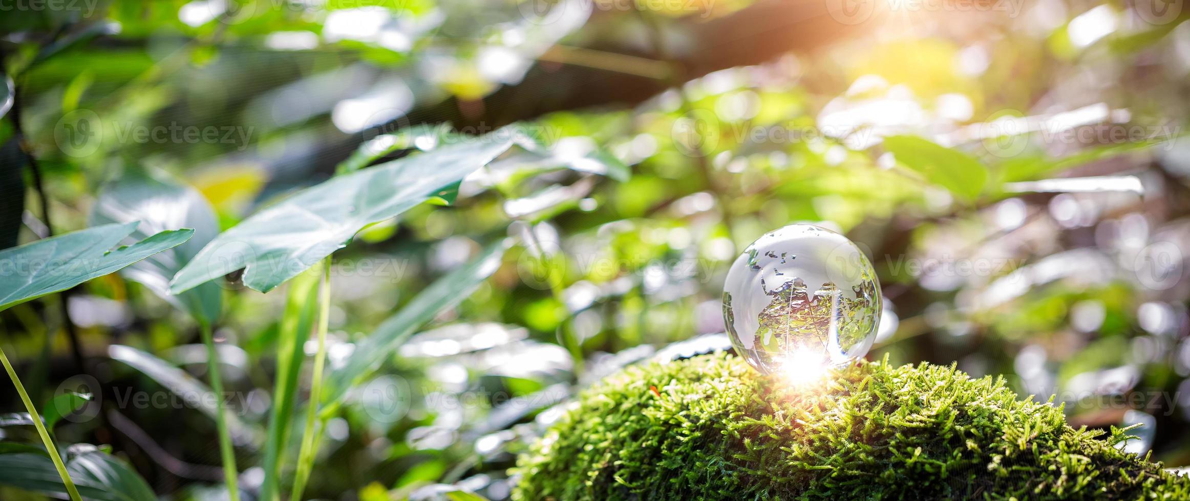 globo planeta cristal en bosque verde con luces de naturaleza bokeh. día Mundial del Medio Ambiente. concepto de conservación del medio ambiente, protección de la ecología, la tierra y el medio ambiente, pancarta de vida ecológica y espacio de copia foto