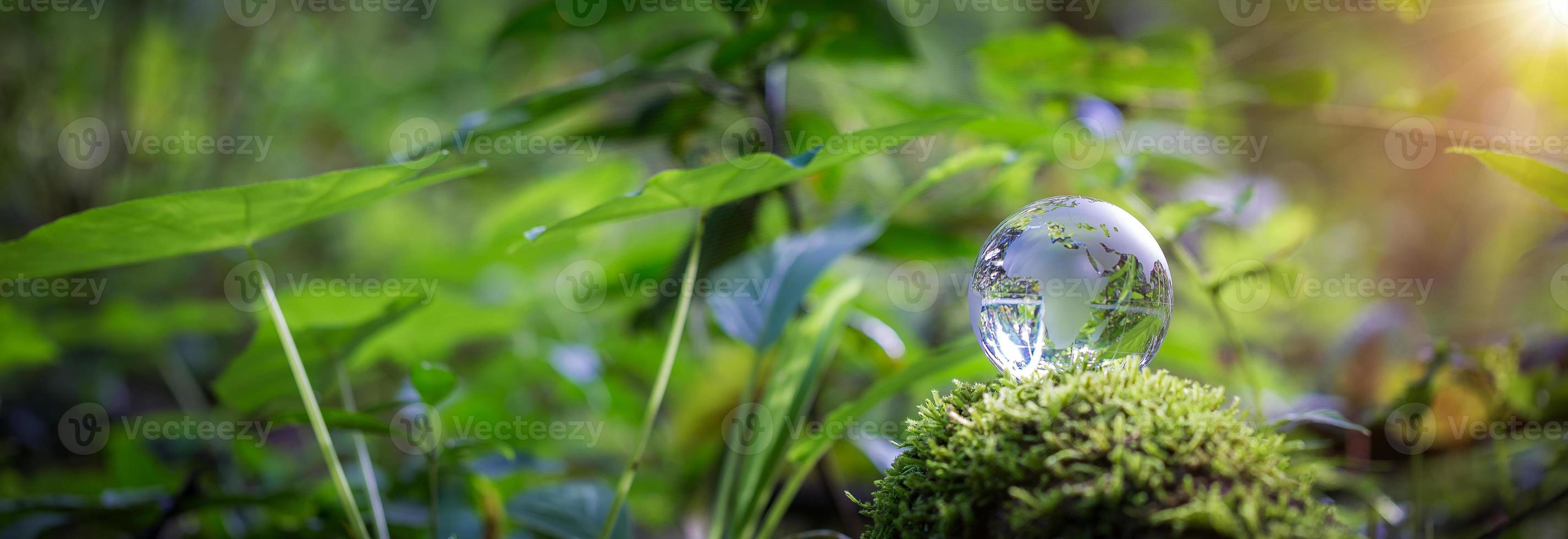 globo planeta cristal en bosque verde con luces de naturaleza bokeh. día Mundial del Medio Ambiente. concepto de conservación del medio ambiente, protección de la ecología, la tierra y el medio ambiente, pancarta de vida ecológica y espacio de copia foto