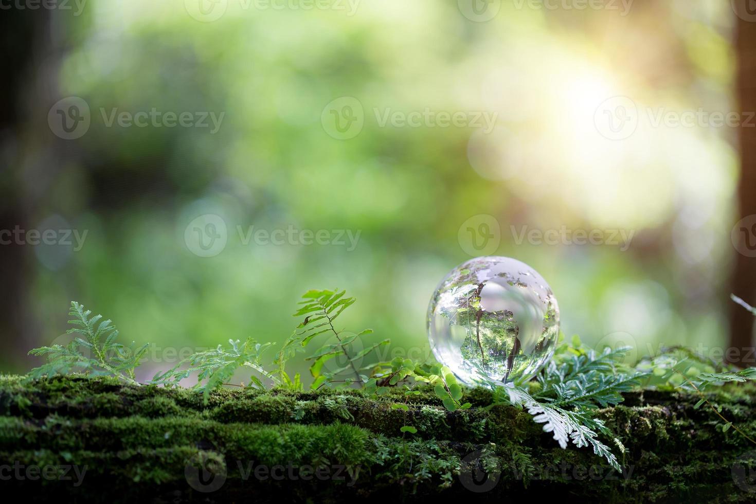 Globe planet glass In green forest with bokeh nature lights. world environment day. concept for environment conservation, protect ecology earth and environmental eco-friendly life with copy space photo
