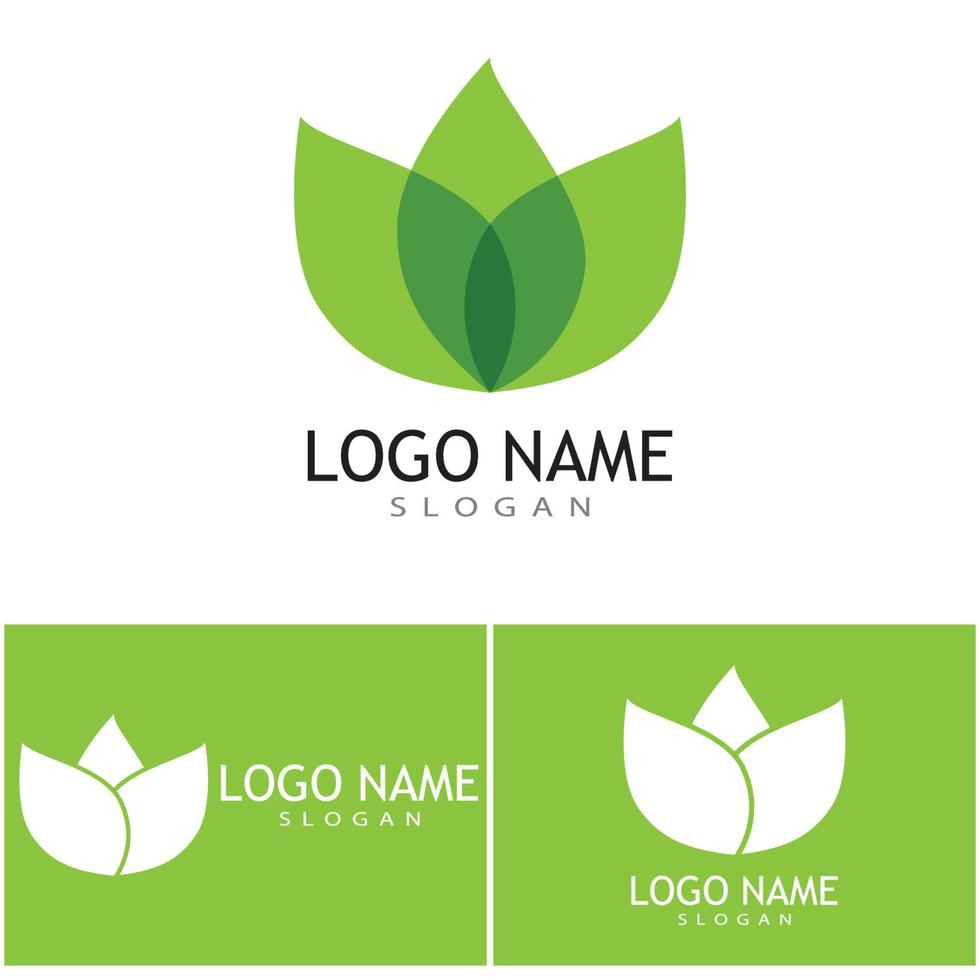 Green leaf illustration nature logo design vector