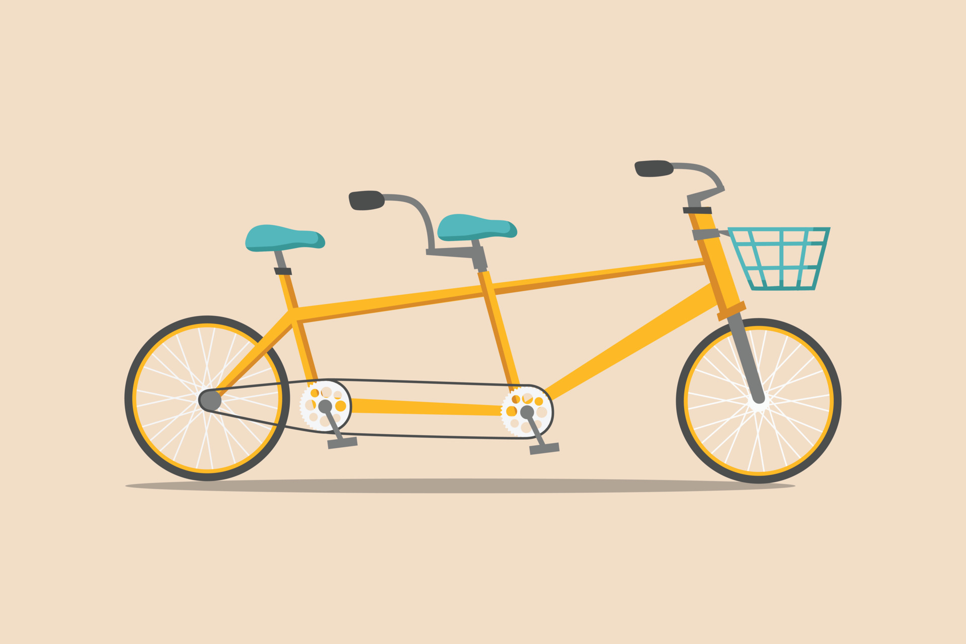 Side view of a tandem bicycle. Bicycle concept. Flat vector