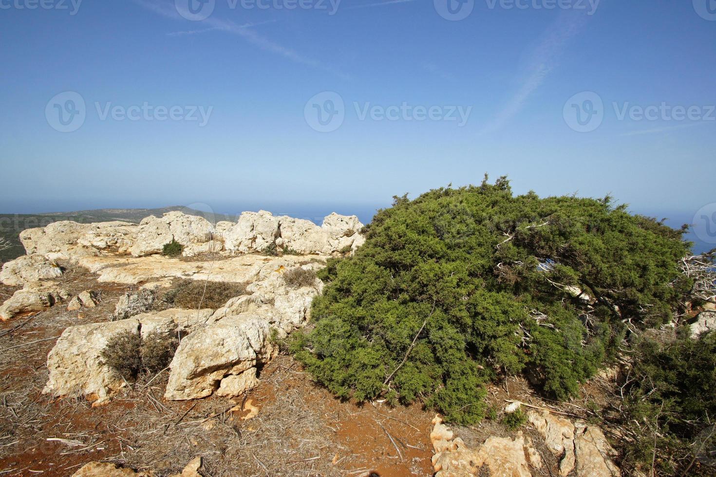 Akamas Peninsula, Cyprus, Europe photo