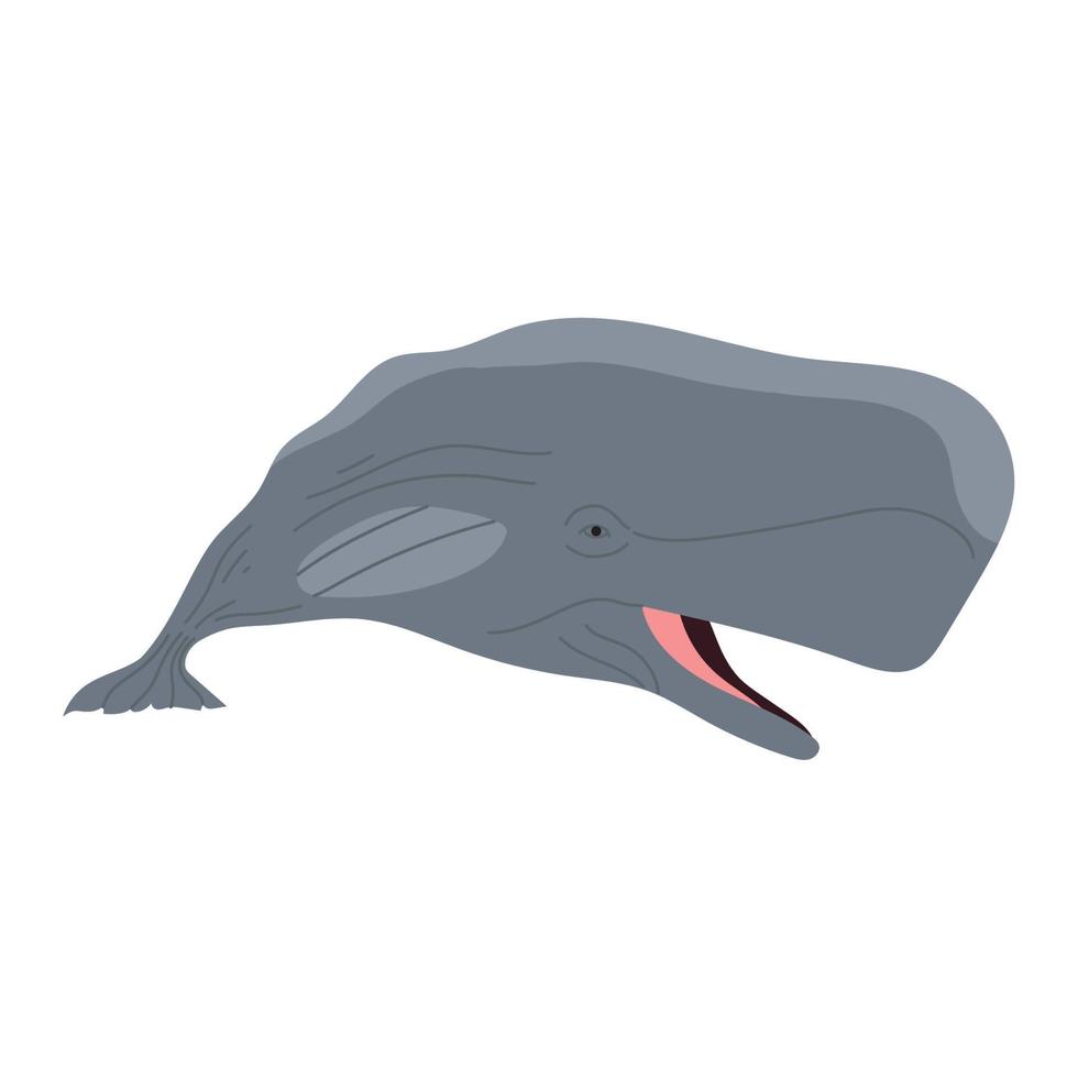sperm whale animal vector