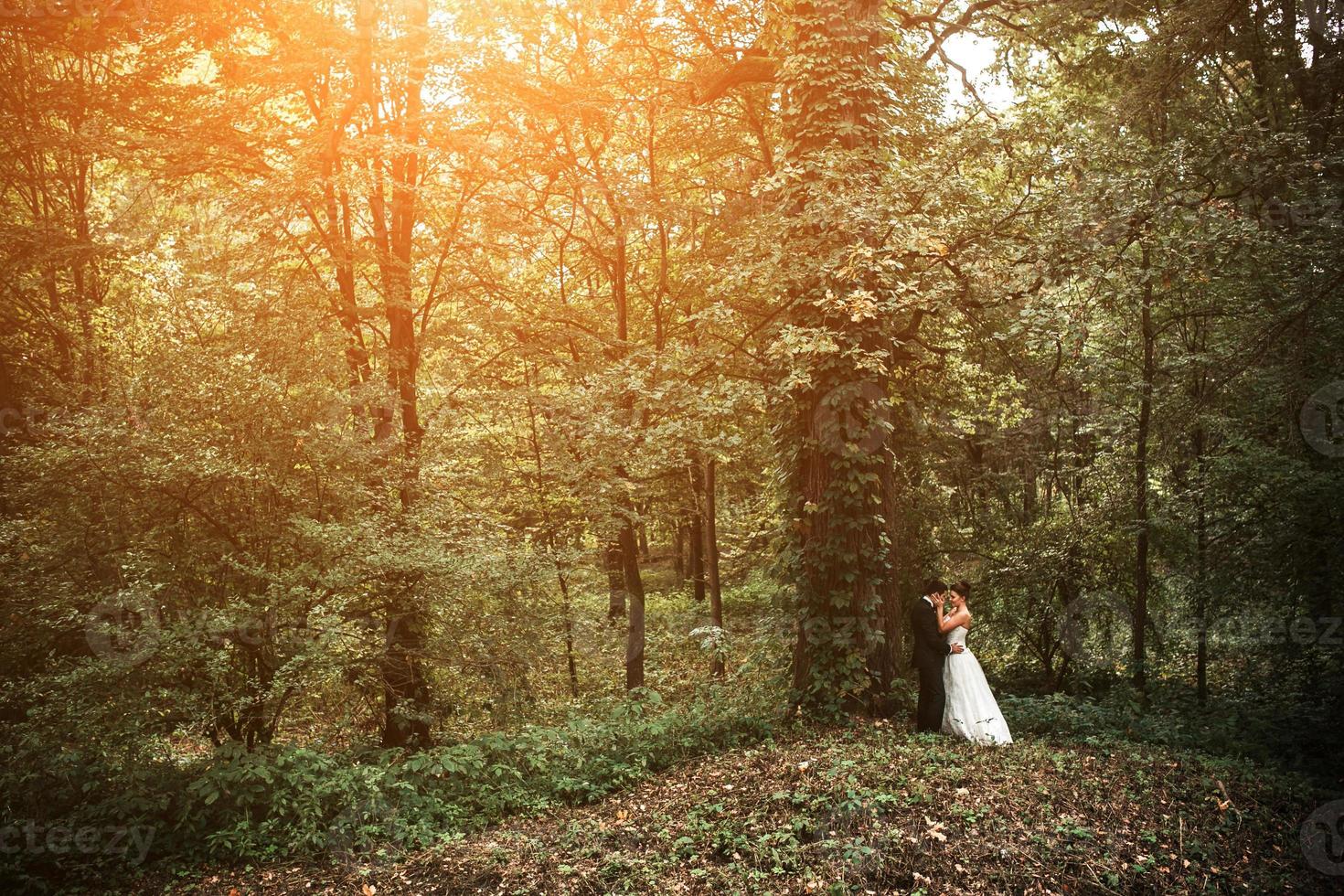 hermosa pareja de novios posando foto