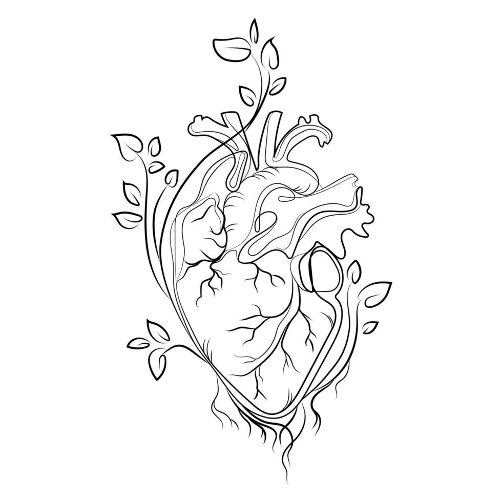 corazón humano anatómico del que crecen las ramas y las hojas de los árboles ilustración vectorial de dibujo de arte lineal. dibujo en blanco y negro del corazón humano, idea creativa para tatuaje, logotipo, impresión, icono y otro diseño. vector