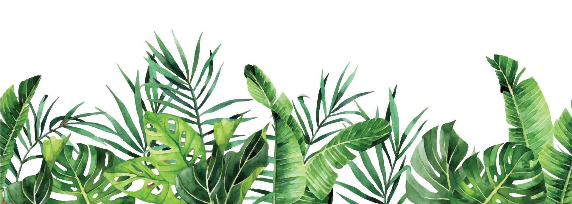 watercolor drawing. horizontal seamless border with tropical leaves. banner with green palm leaves, monstera vector