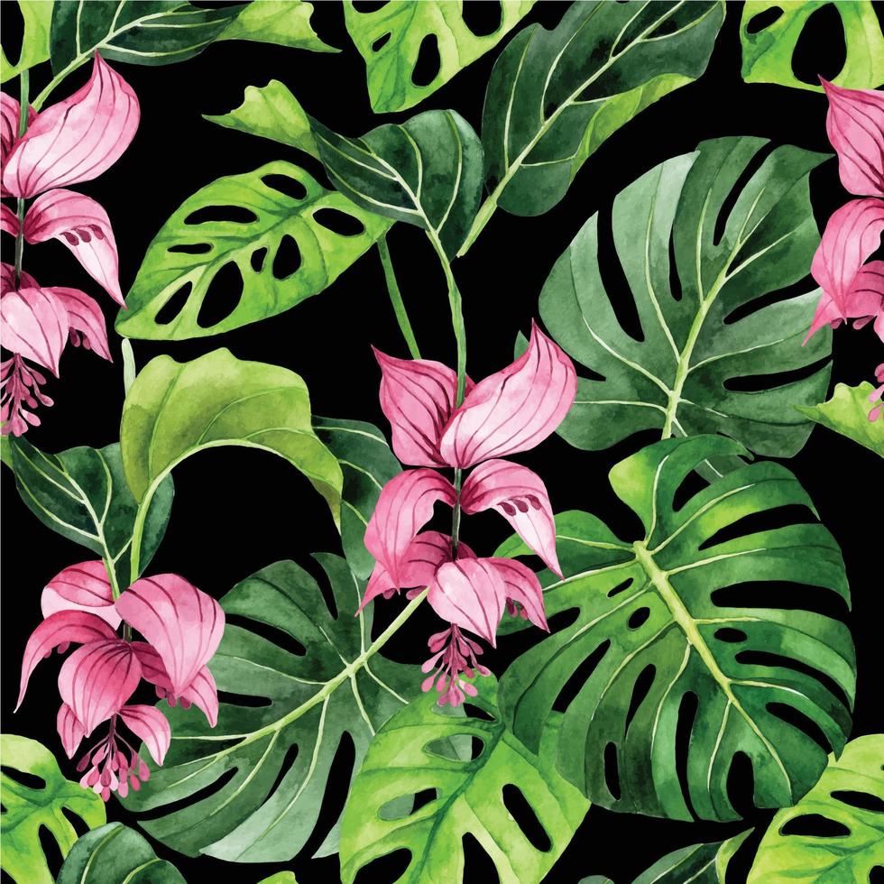 watercolor seamless pattern with tropical flowers and leaves. pink flowers and green leaves of medinilla magnifica on dark background vector