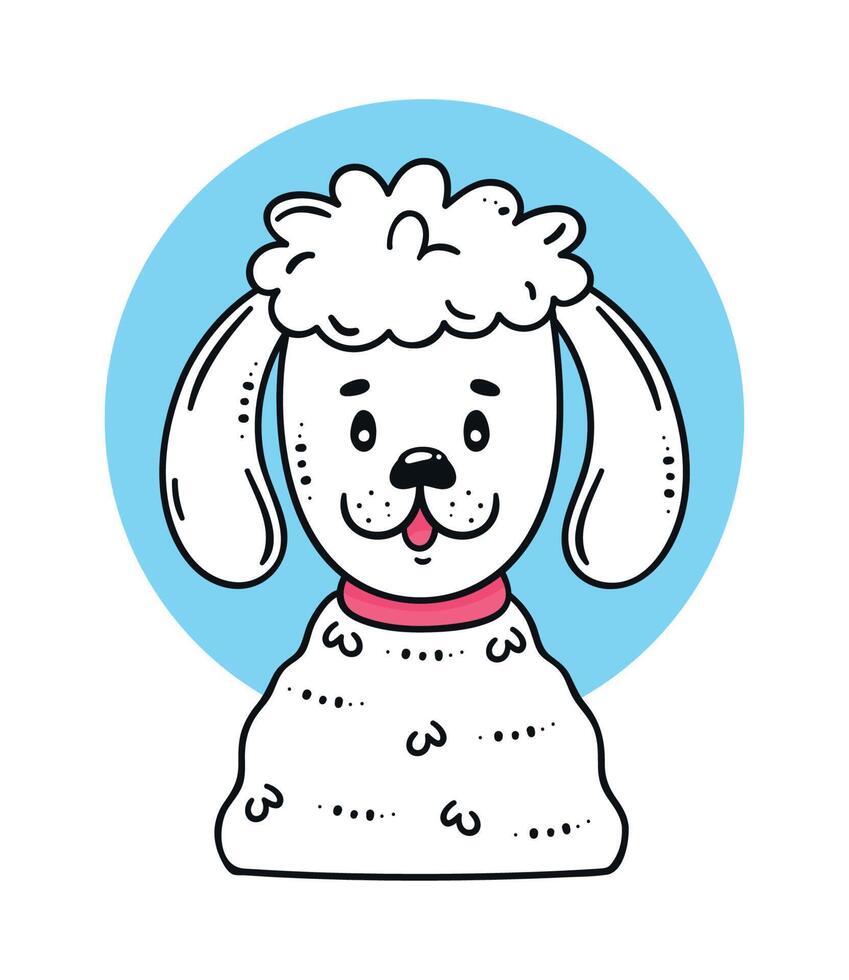 french poodle dog vector