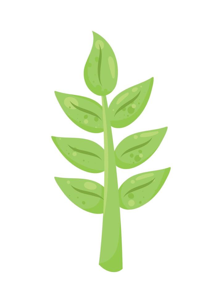 green branch with leafs vector
