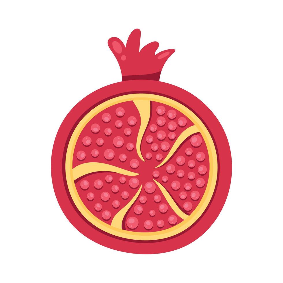 half pomegranate fruit vector
