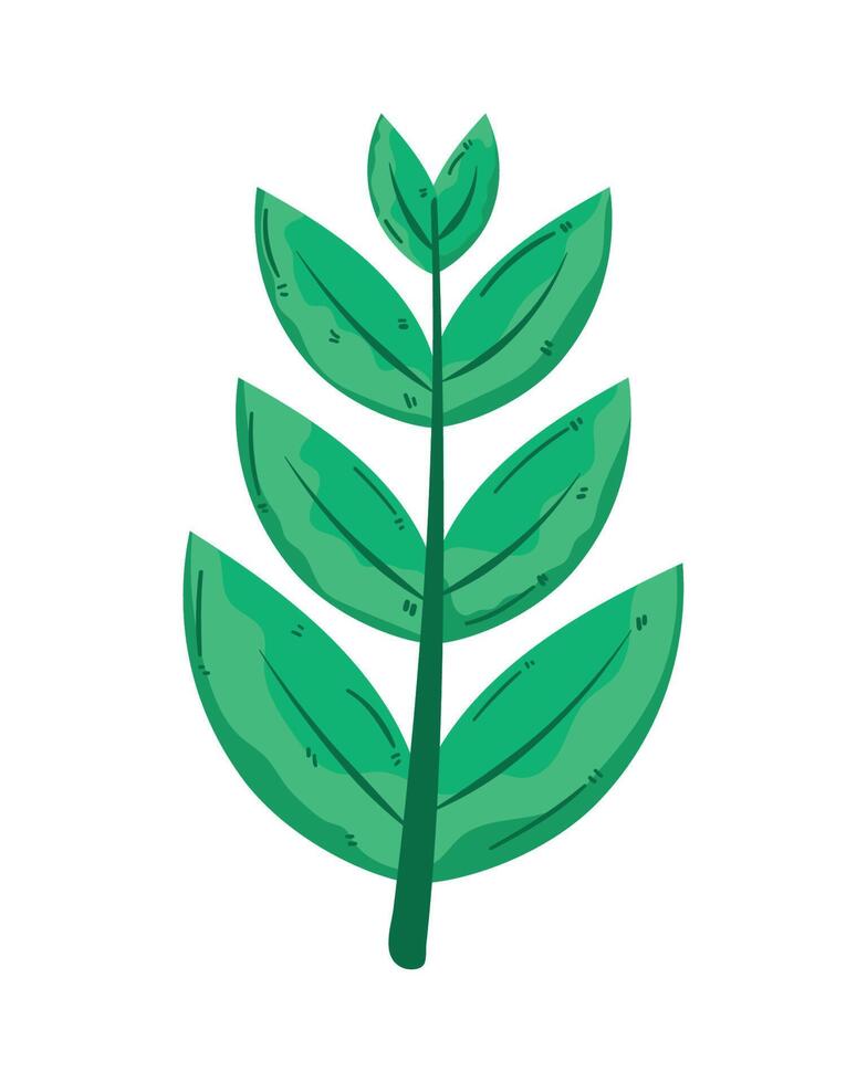 branch with leafs foliage vector