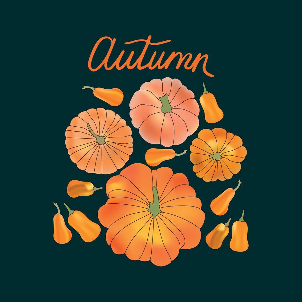 Set of pumpkins. Collection of orange, red, yellow pumpkins. Elements for Halloween and thanksgiving design.Autumn vegetables. Vector flat illustration