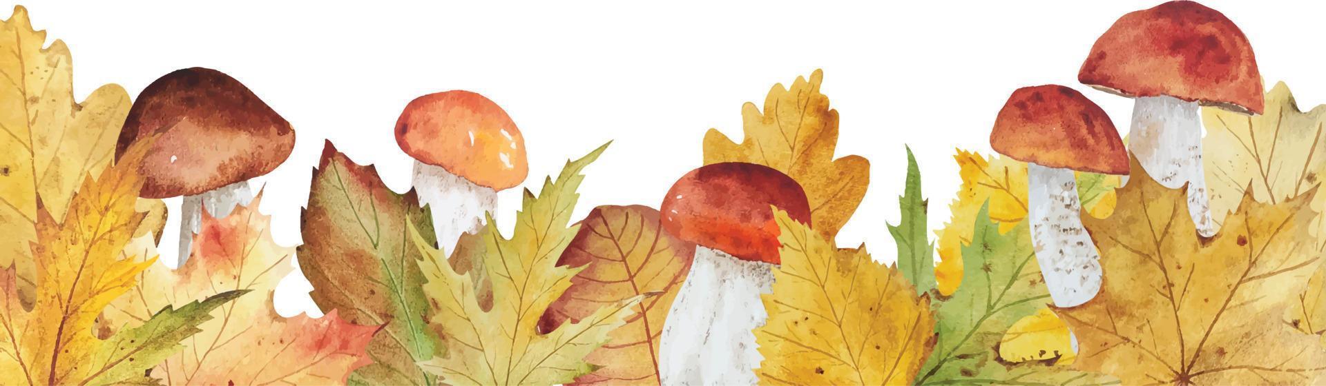 Watercolor autumn leaves border vector