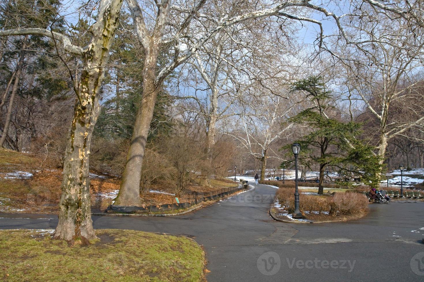 in Central Park on New York in winter photo