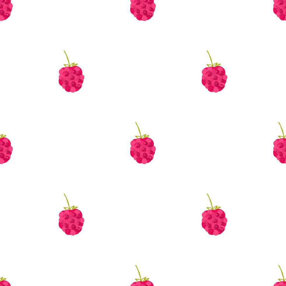 Seamless pattern with illustration of raspberry on a white background vector