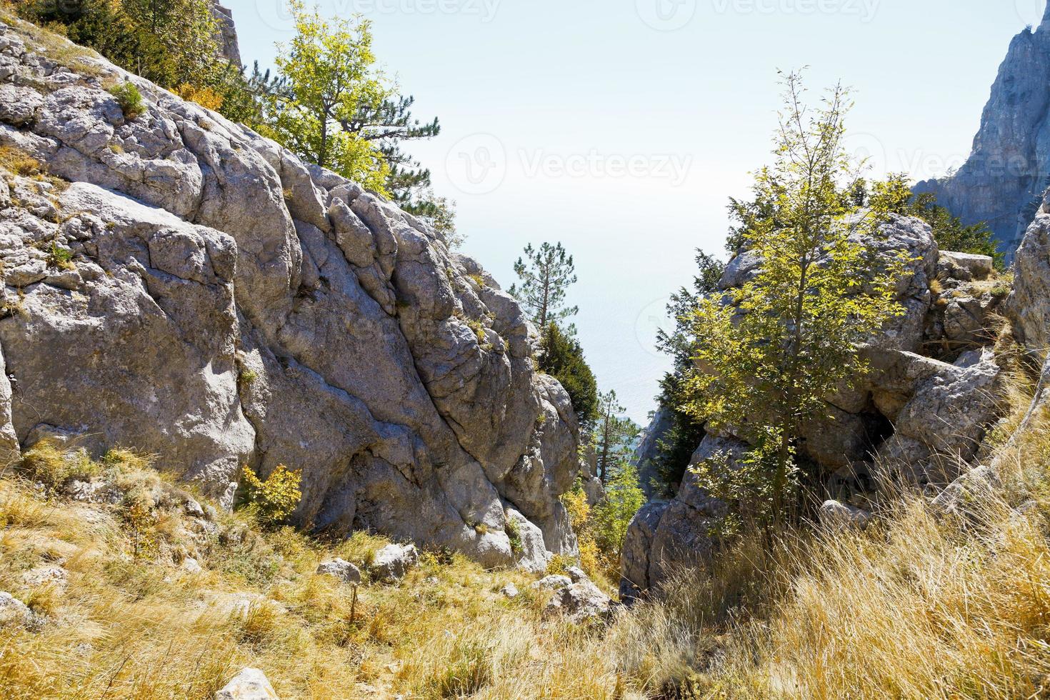 gorge in Ai-Petri mountain on Black Sea coast photo