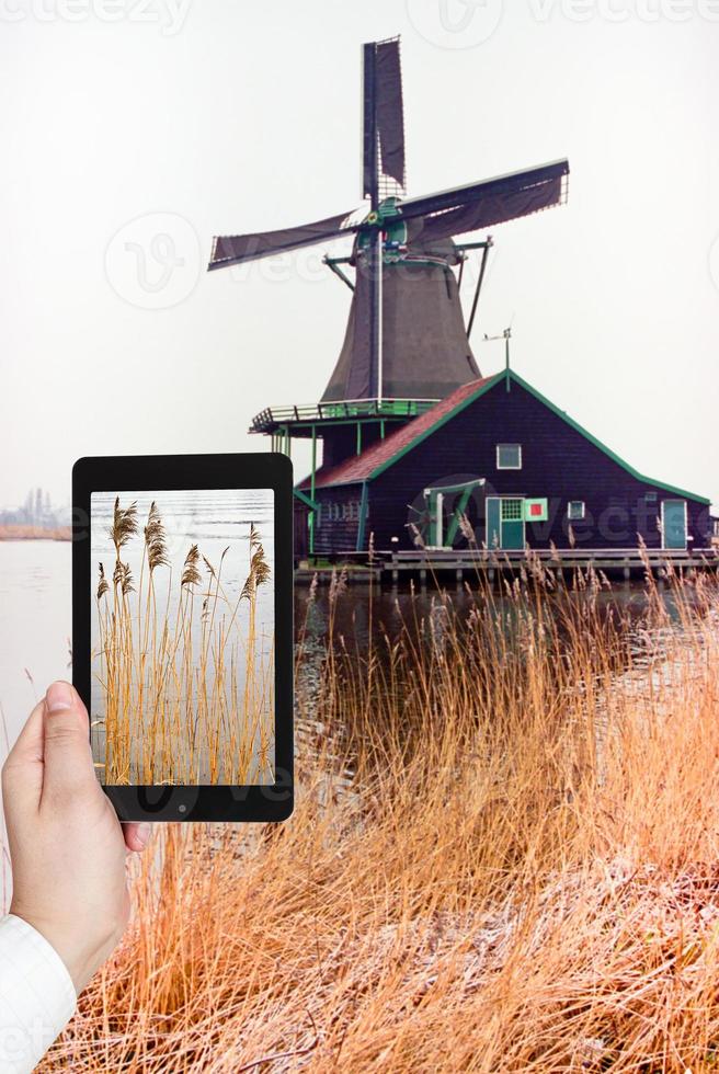 tourist taking photo of frozen grass near windmil