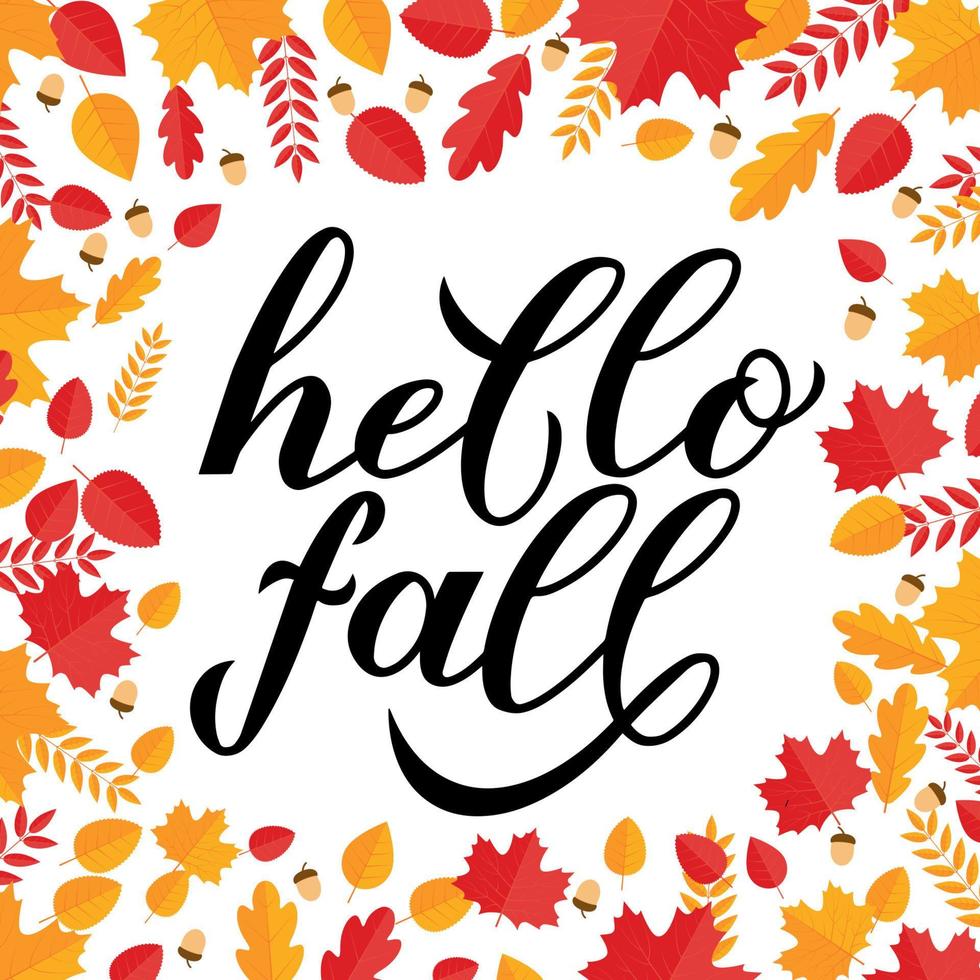 Hello fall calligraphy hand lettering in frame of leaves and acorns. Autumn seasonal inspirational quote typography poster. Easy to edit vector template for banner, flyer, sticker, postcard, etc.