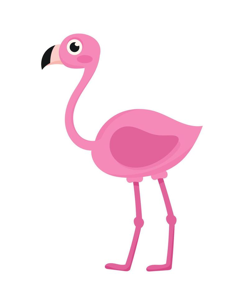 flamingo bird animal vector