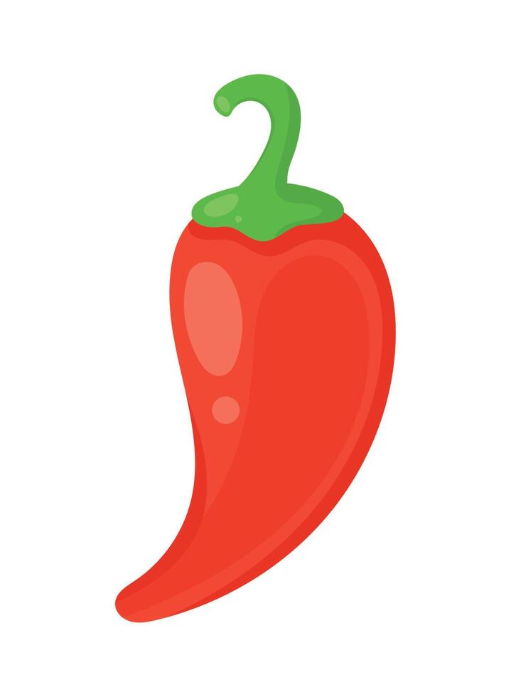 red chili pepper vegetable vector