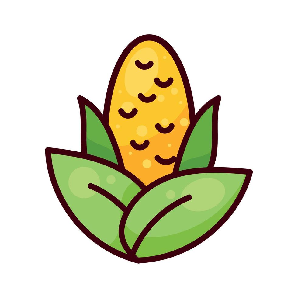 corn cob vegetable vector