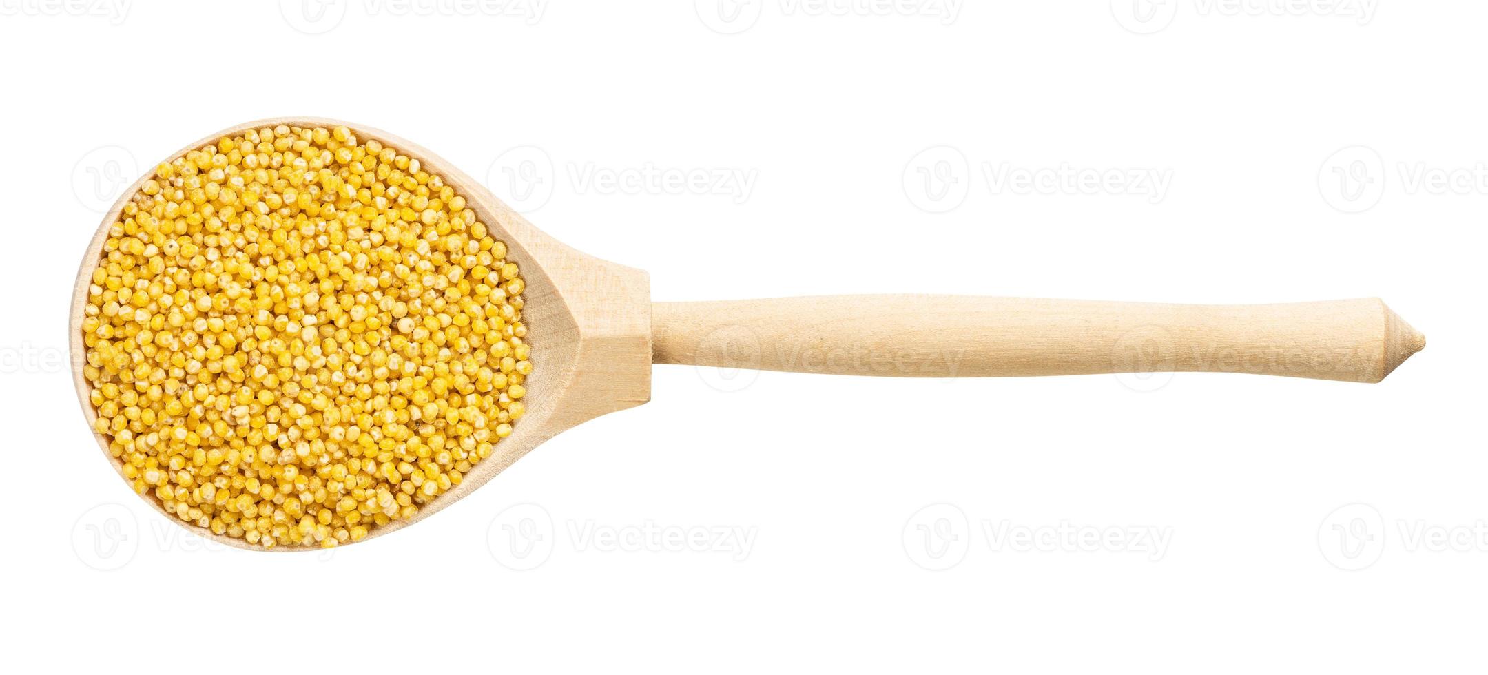 view of spoon with polished proso millet grains photo