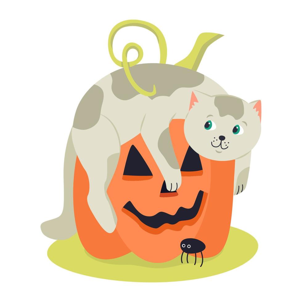 gatito divertido y calabaza jack-o-lantern. ilustración vectorial dibujada a mano. ideal para crear carteles de Halloween, tarjetas de felicitación vector