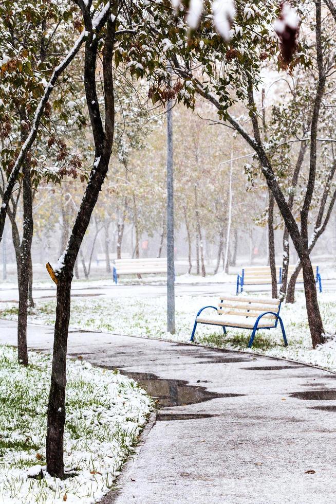 first snow in city park in autumn photo