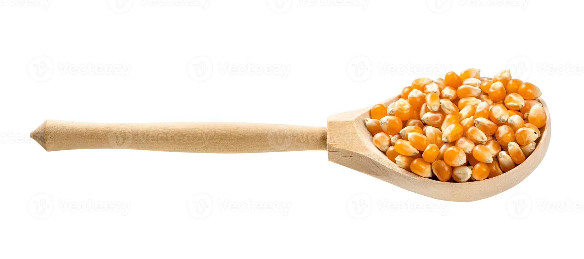 wooden spoon with raw maize corns isolated photo