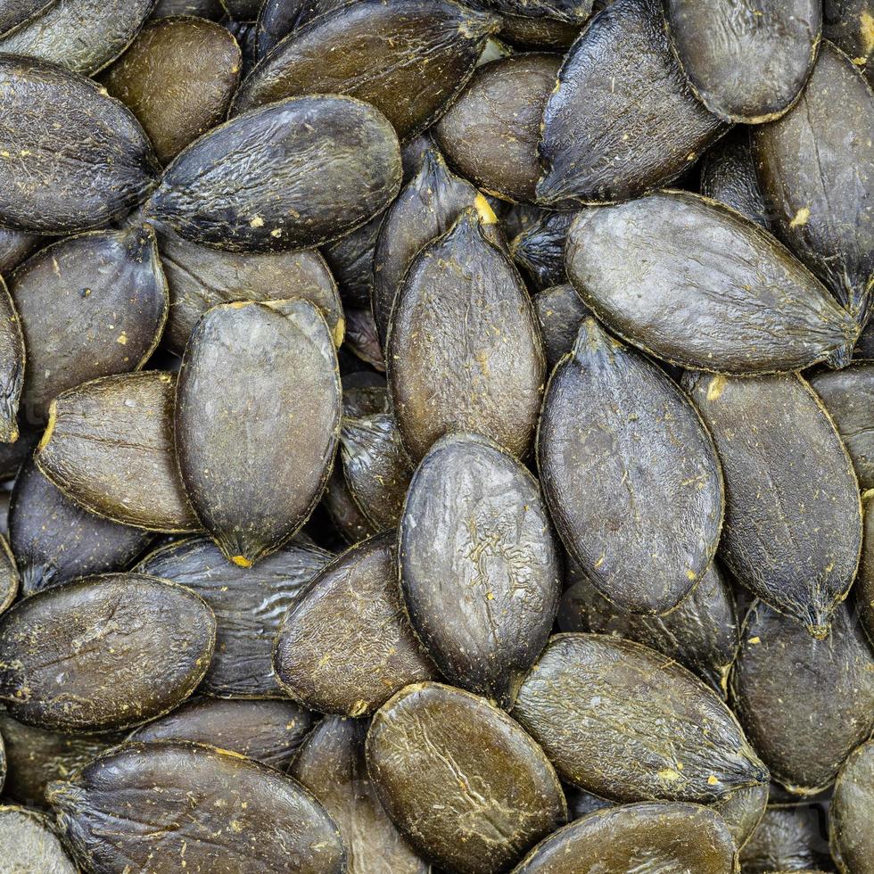 styrian pumpkin hulless seeds close up photo