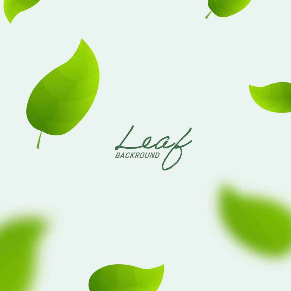 hojas verdes voladoras realistas en una pancarta blanca cuadrada. fondo de hoja verde voladora. vector