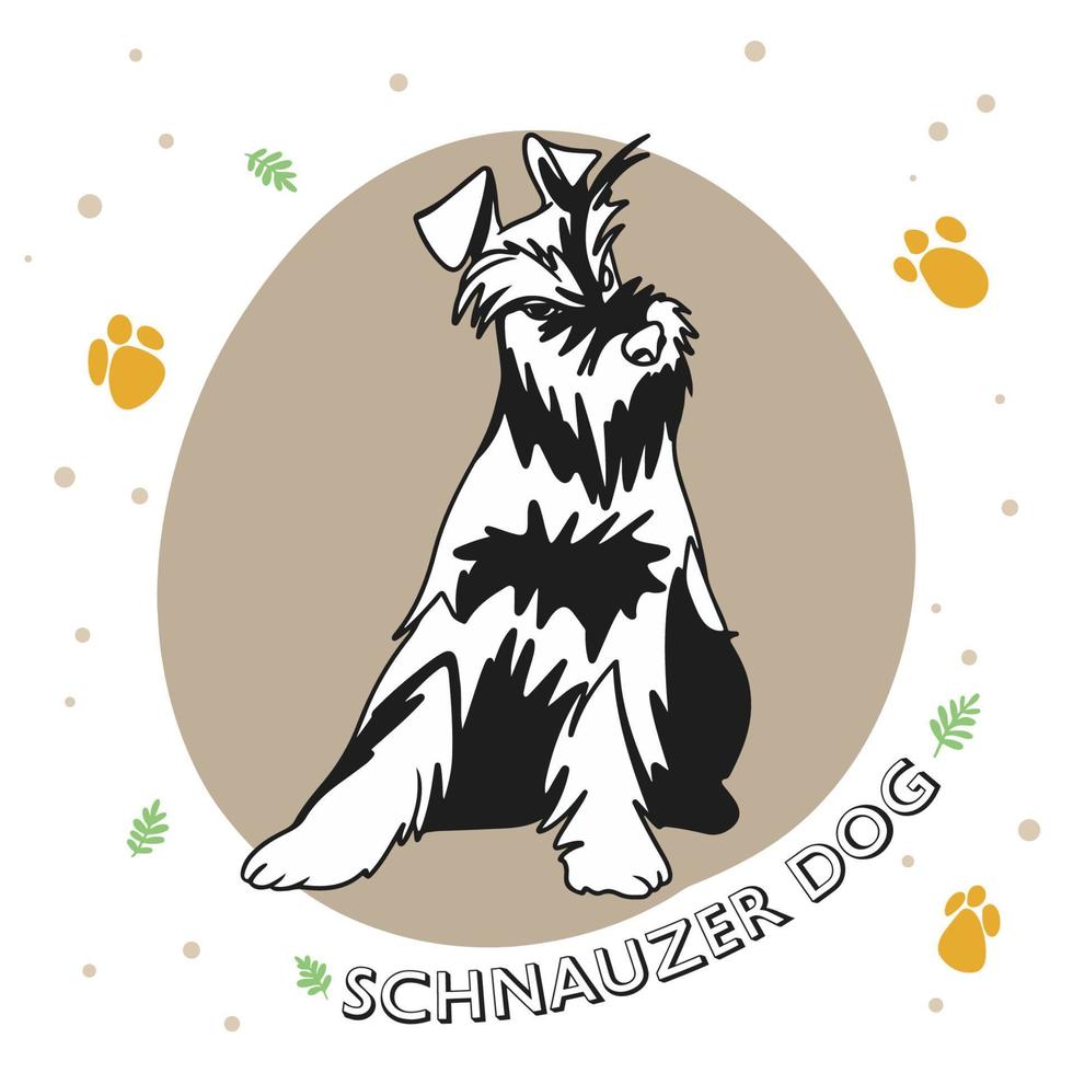 Dog breed Schnauzer, full length, funny puppy vector