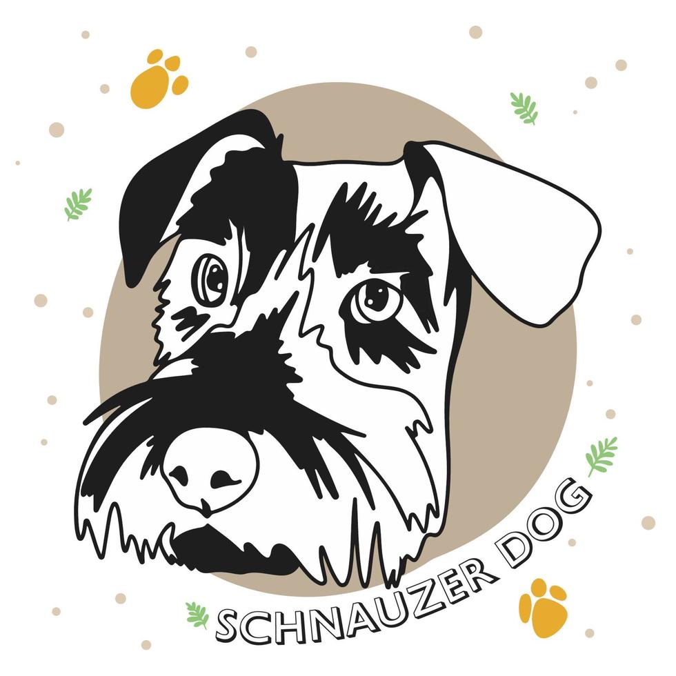 retrato de un schnauzer de raza de perro, cachorro divertido vector