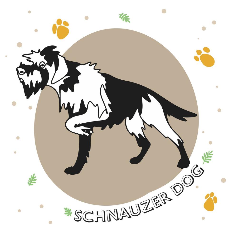 Dog breed Schnauzer, full length, funny puppy vector