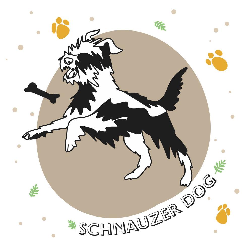 Dog breed Schnauzer, full length, funny puppy vector
