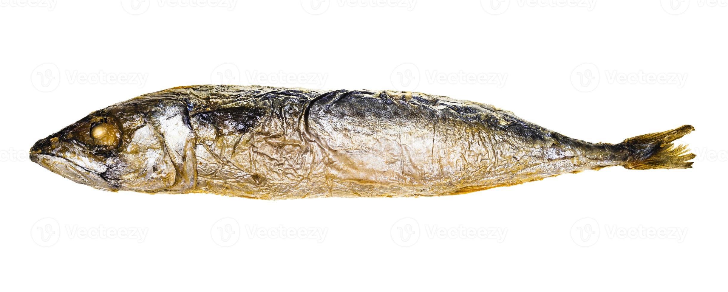 baked whole mackerel isolated on white photo