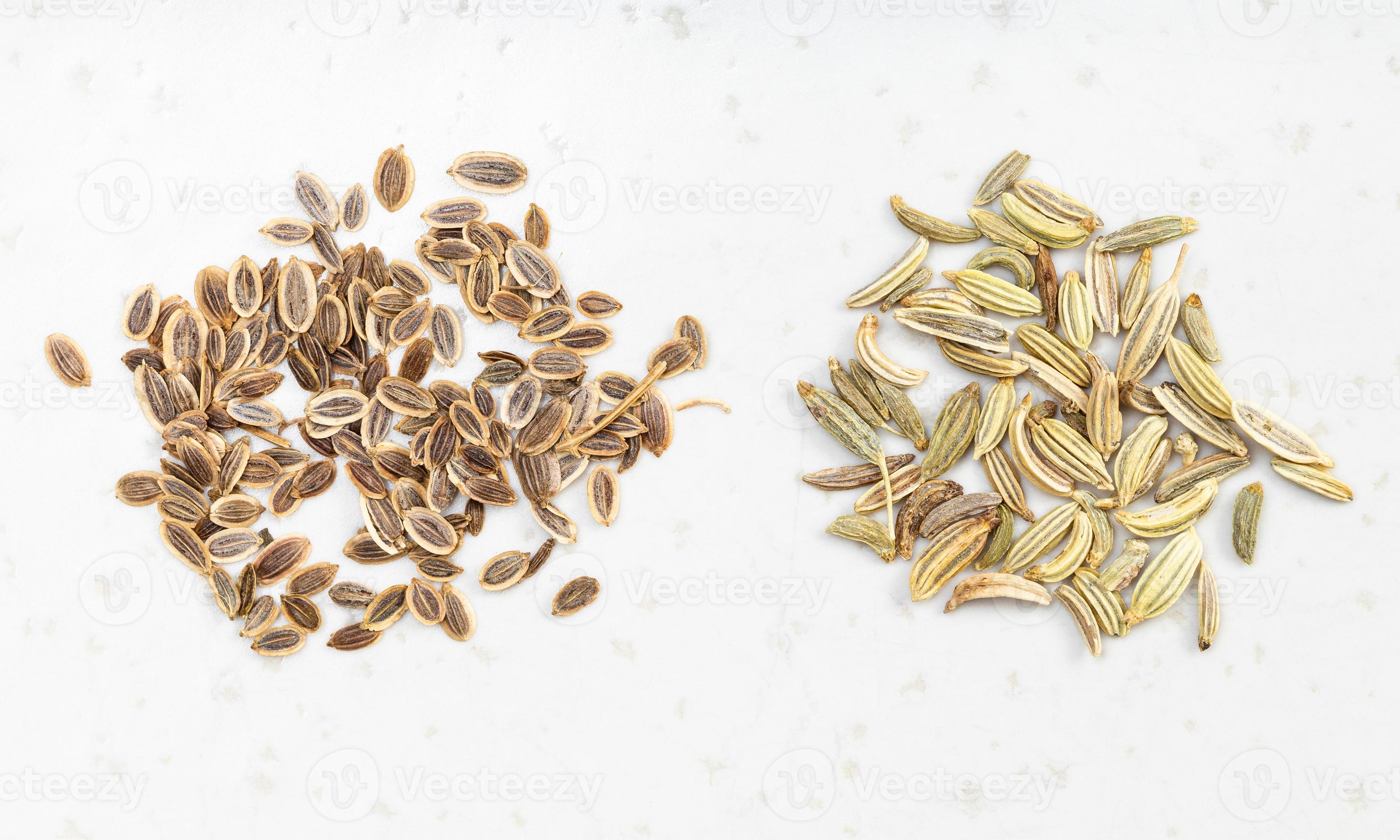 two pinches of dill and fennel seeds on gray 11442896 Stock Photo at
