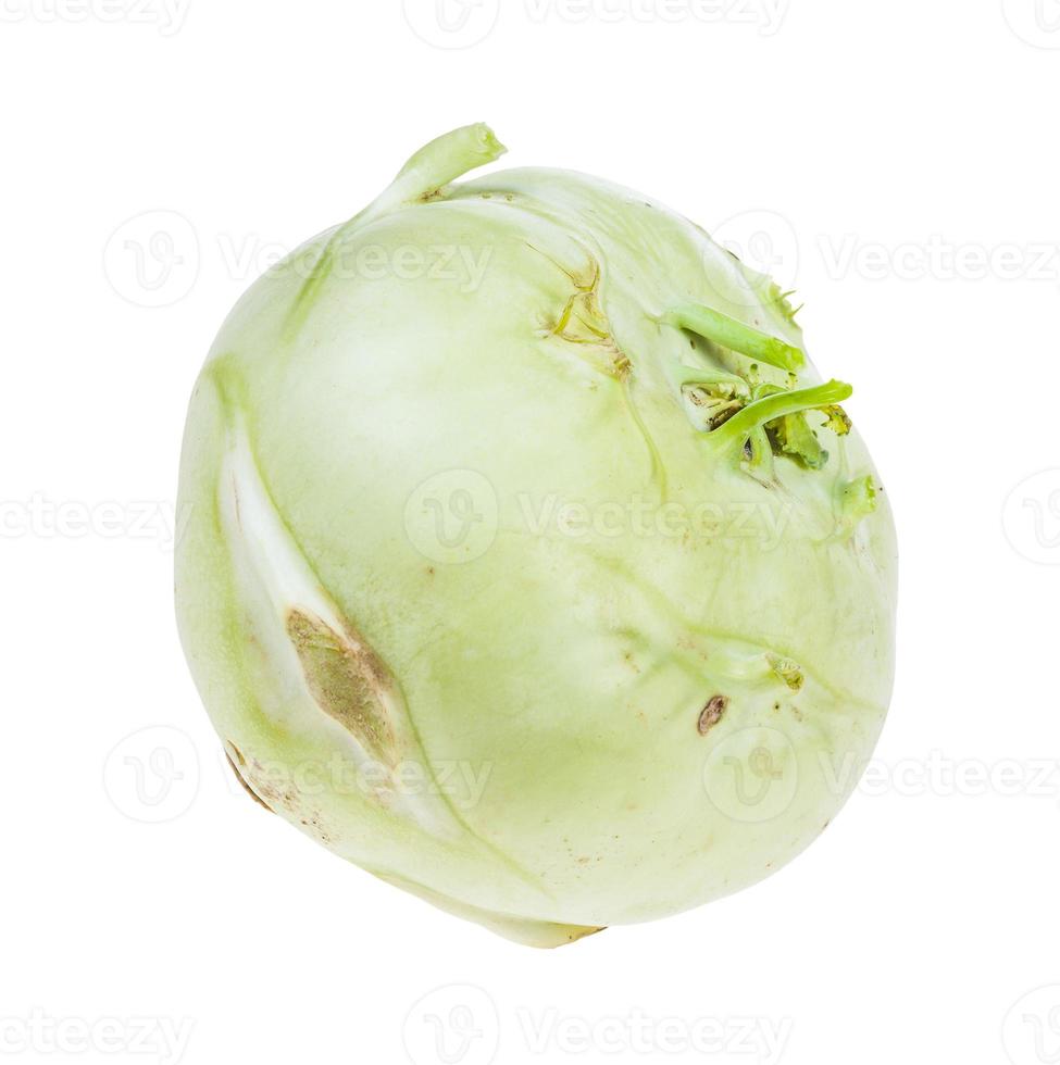 single fresh root of kohlrabi cabbage isolated photo