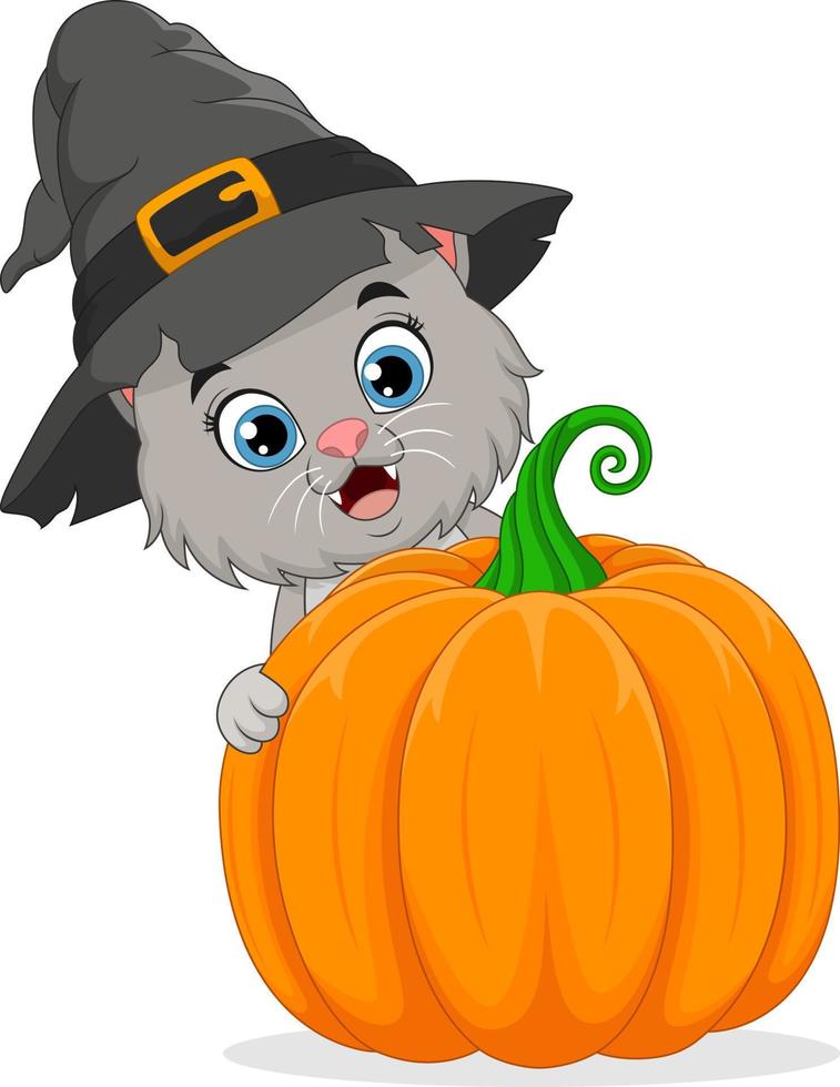 Cartoon cat in a witch hat with pumpkin vector