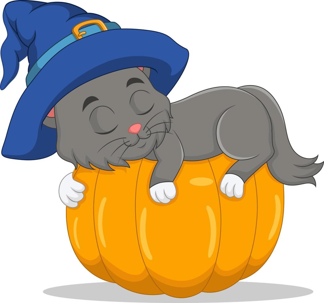 Cartoon cat in witch hat sleeping on pumpkin vector