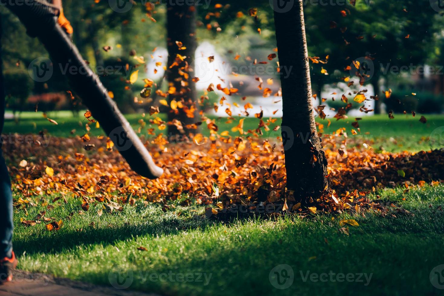 A woman operating a heavy duty leaf blower. photo