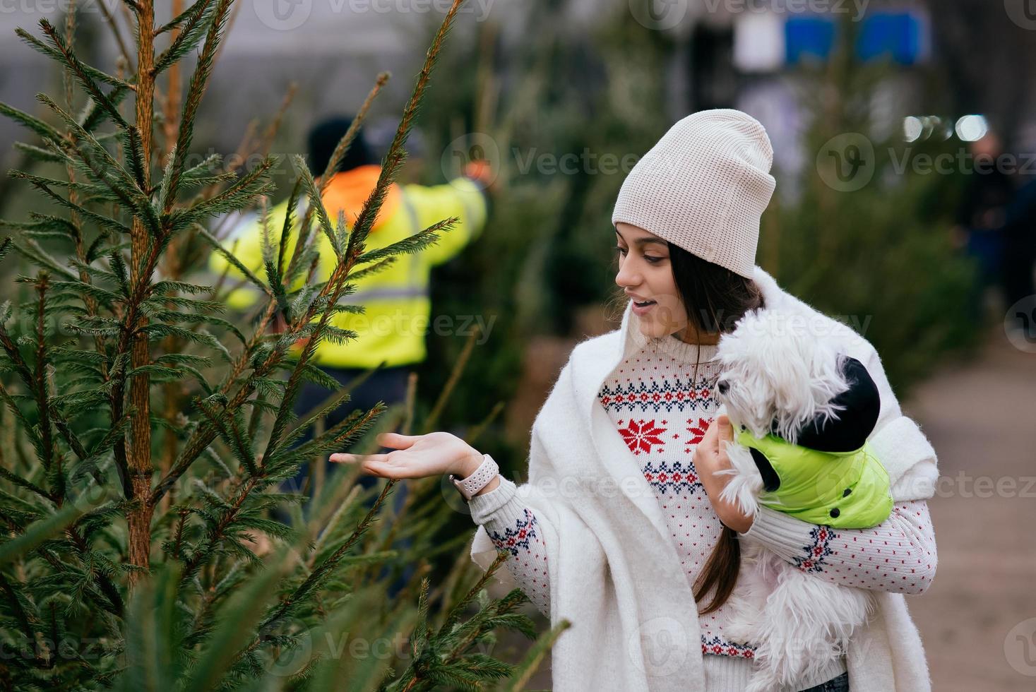 Woman with a white dog in her arms near a green Christmas trees photo