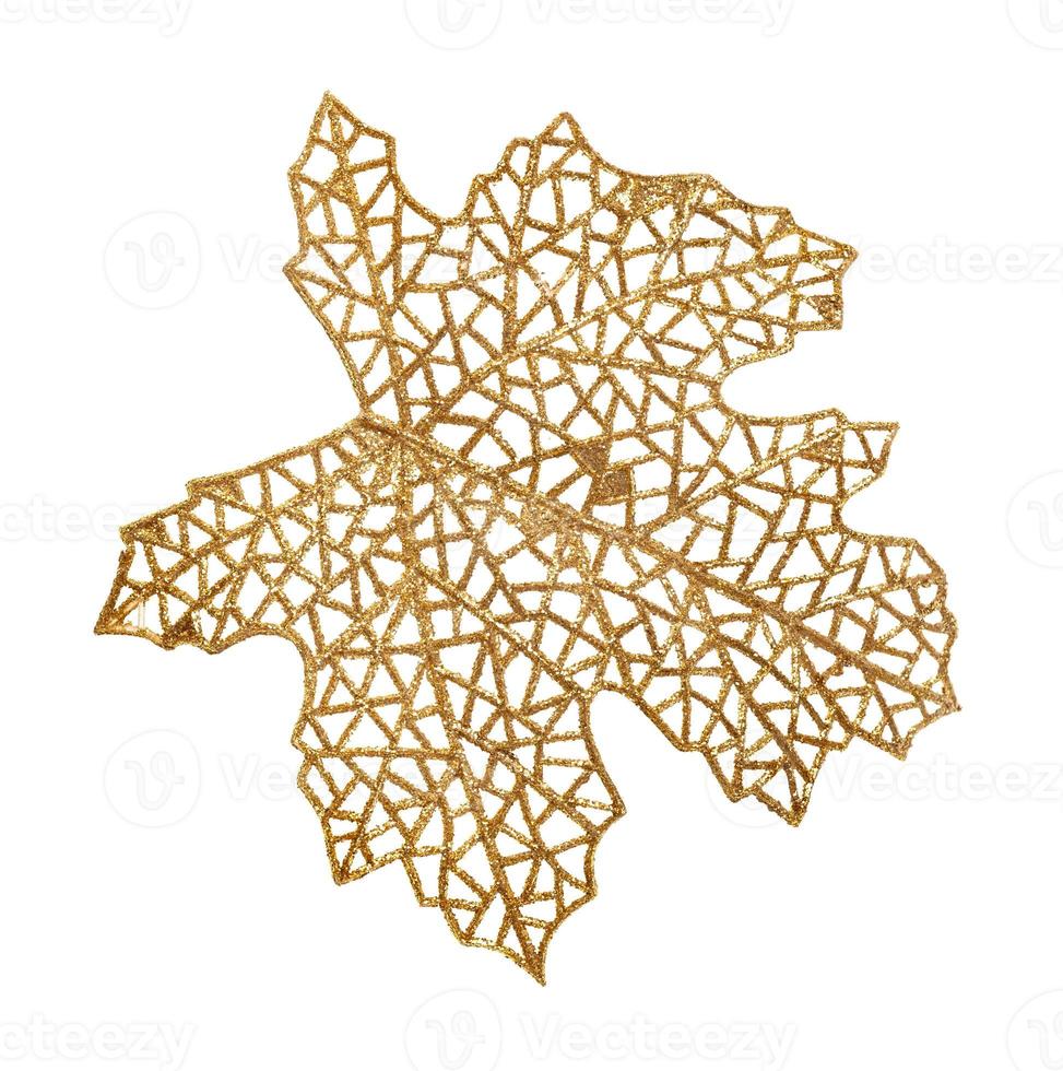artificial plastic skeleton of leaf isolated photo