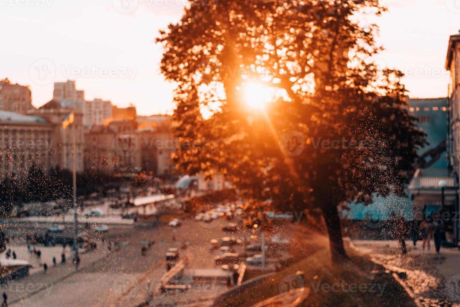 The central street of the big city photo