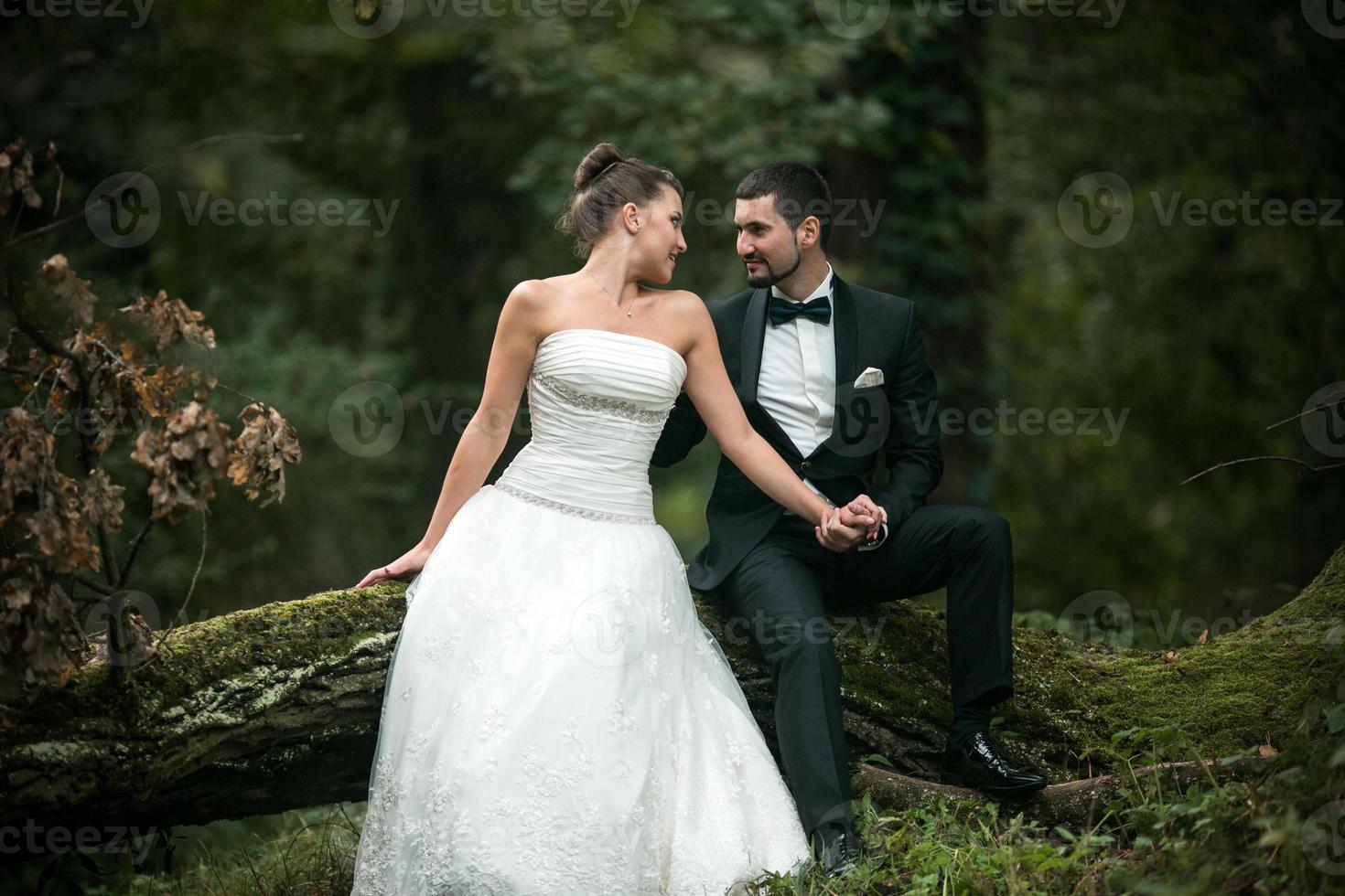 Beautiful wedding couple sitting in the woods photo