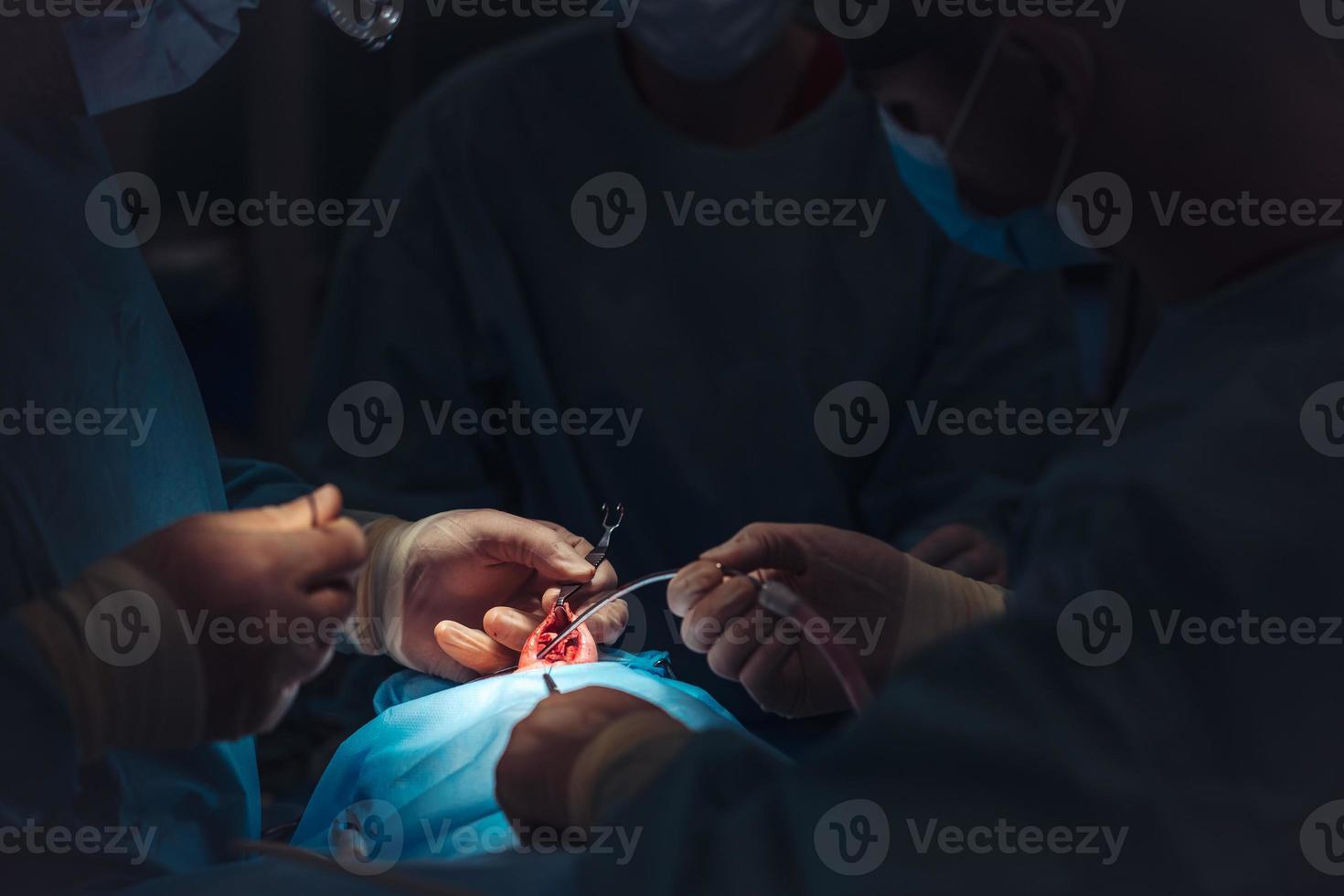 cirujano y su asistente realizando cirugía estética en la nariz foto