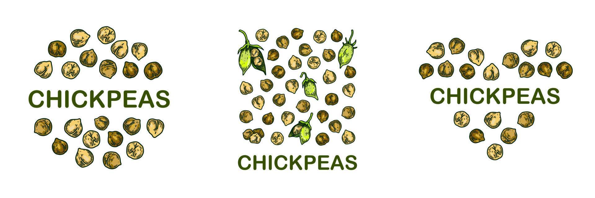 Set of colorful chickpeas designs. Hand drawn illustration in colored sketch style. Botany design for packaging, label, banner, logo vector