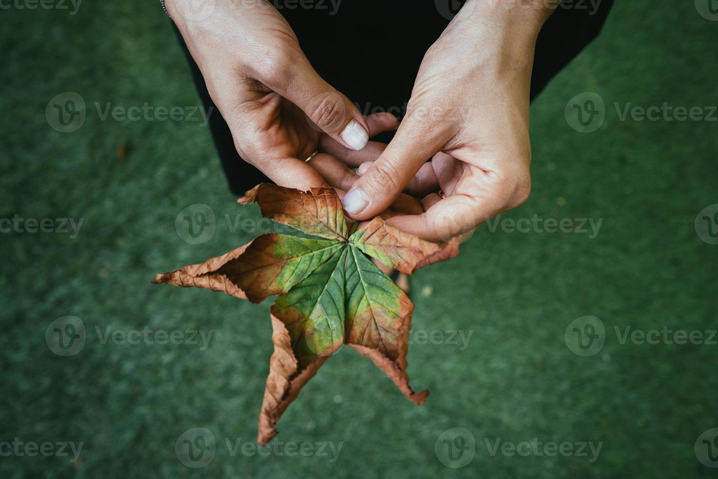 Woman hold nice yellow leaf in hand. photo